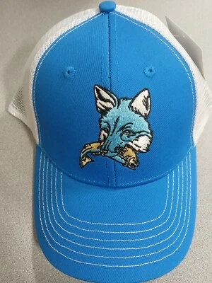 Sombrero de Zorro Azul Pesca-Color Azul Real. Bonito, mira!! Foto 1 de 4