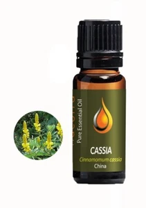 Cassia Pure Essential Oil  10ml 20ml  30ml 100% - Picture 1 of 3