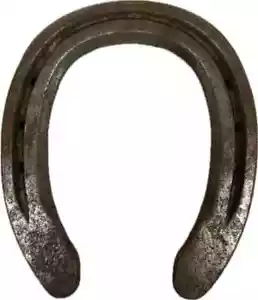 Wonder Care ferro di cavallo autentico usato ferro di cavallo buona fortuna charm rustico di buon auspicio - Foto 1 di 1