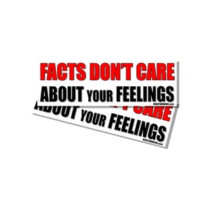 Paquete de 2 calcomanías divertidas copo de nieve Facts Dont Care about Your Feelings - Imagen 1 de 1