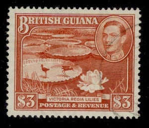 BRITISH GUIANA QEII SG319b, $3 red-brown, FINE USED. Cat £50. PERF 14x13 - Picture 1 of 1