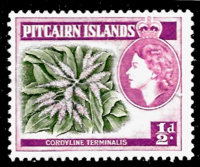 1957 PITCAIRN ISLANDS QUEEN ELIZABETH II MLH OG 1/2d FLOWER CORDYLINE TERMINALIS - Image 1 of 2