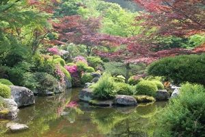 Mimurotoji Temple Garden, Kyoto Japan Photo Reprint - Picture 1 of 1