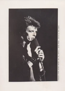 1976 Press Photo Punk Rock Rock Singer David Bowie by Photographer Andy Kent - Picture 1 of 2