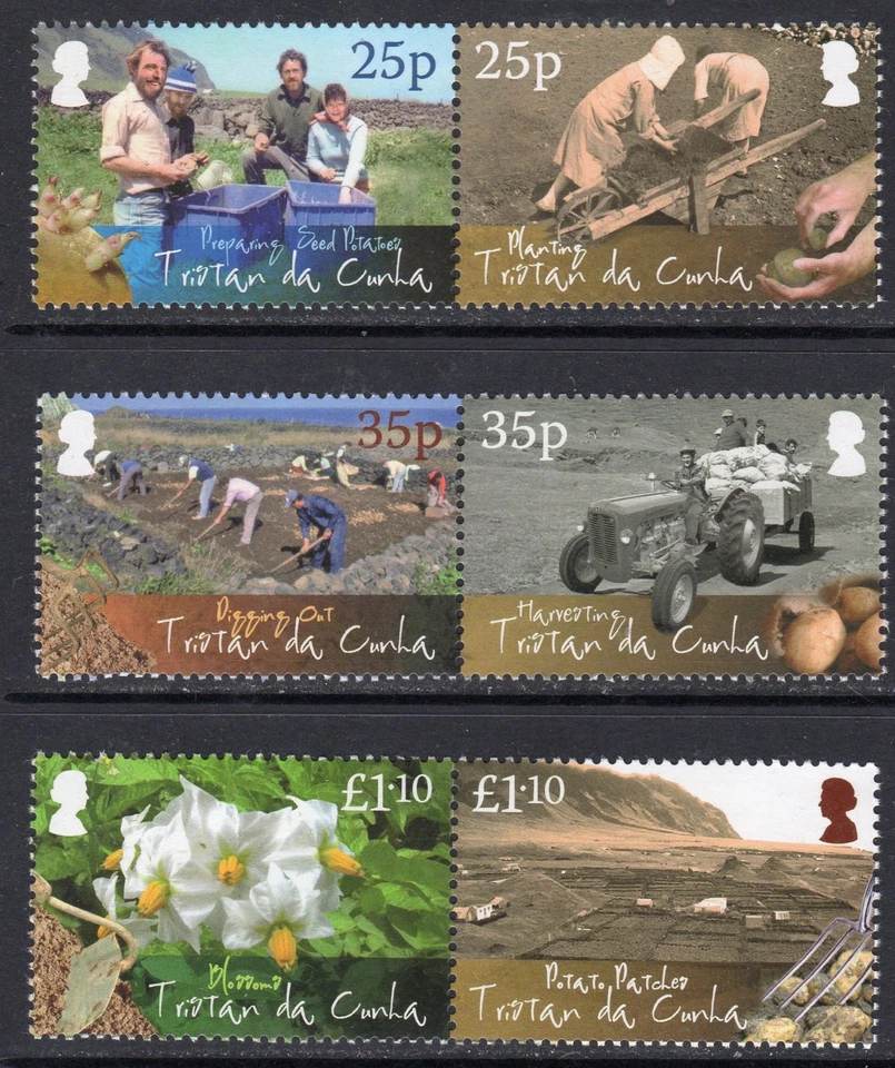 Juego de 6 producción de patatas Tristan da Cunha 2009, MNH, SG 950/5 Foto 1 de 1
