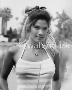 Barbi Benton  Actress, Model  8X10 Photo Reprint - Picture 1 of 1
