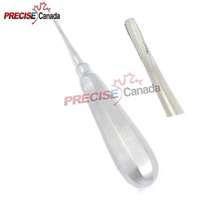 Elevador pequeño de borde recto de púas Lindo-Levien para cirugía dental dental - Imagen 1 de 2