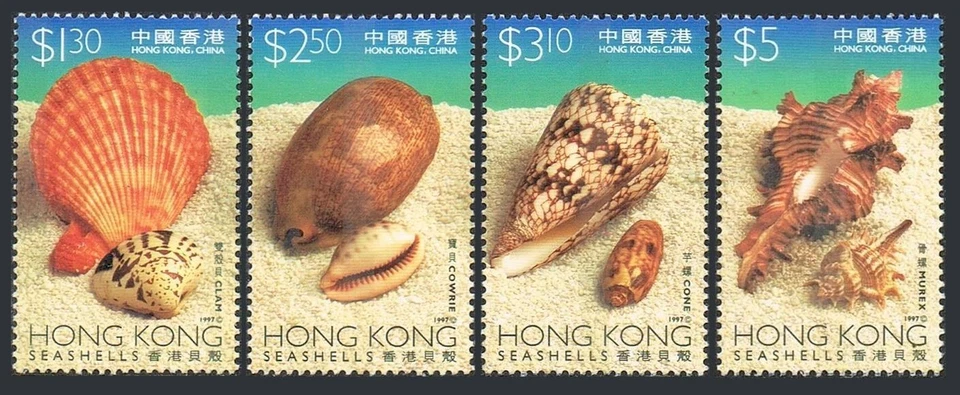 Hong Kong 803-806, MNH. Michel 830-833. Shells 1997. Clam, Cowrie, Cone, Murex. - Image 1 of 1