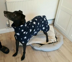 Hund Snood Pullover Fleece Hausmantel Italienisch Whippet Lurcher Blau Stern 26" - Bild 1 von 5
