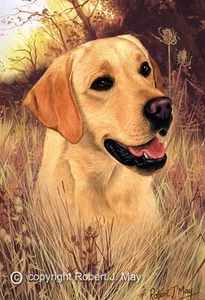 Signed Yellow Labrador Print by Robert J. May - Picture 1 of 1