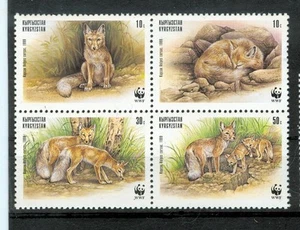 VOLPE CORSAC - CORSAC FOX KYRGYZSTAN & WWF 1999 - Picture 1 of 1
