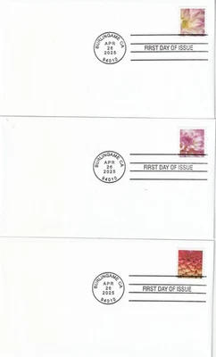 10 estampillas FDC de Dahlia Forever de 2025. De bobina de 3.000. Adquirido desde USPS. Foto 1 de 4