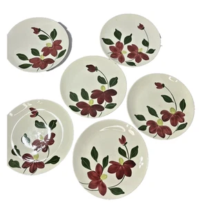 6 Blue Ridge Southern Pottery Floral Dinner Plate Hand Painted Flower Winnie Vtg - Picture 1 of 20