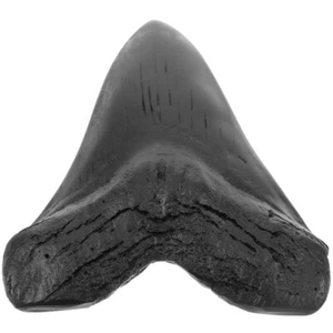 Megalodon Realistic Simulation Model Megalodon - Picture 1 of 12