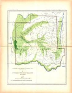 IDAHO, MONTANA, BITTERROOT FOREST RESERVE, SILVER FIR Antique forestry map 1900 - Picture 1 of 1