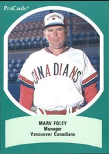 1990 Triple A All-Stars ProCards #AAA39 Marv Foley