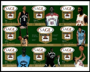 2002-03 Lebron James Rookie SAGE Pangos High School Uncut Sheet Green *JP2057 - Bild 1 von 2