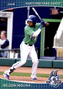 2018 Hartford Yard Goats Grandstand #21 Nelson Molina Puerto Rico Baseball Card