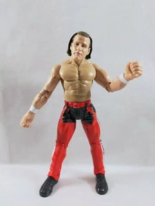 sympa WWF WWE Action Personnage HASBRO catch( shawn michael 1999 ) 2524 - Imagen 1 de 1
