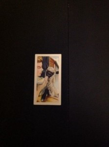 K2-8 Trade Card Priory Tea I Spy Pets Lamb No 24