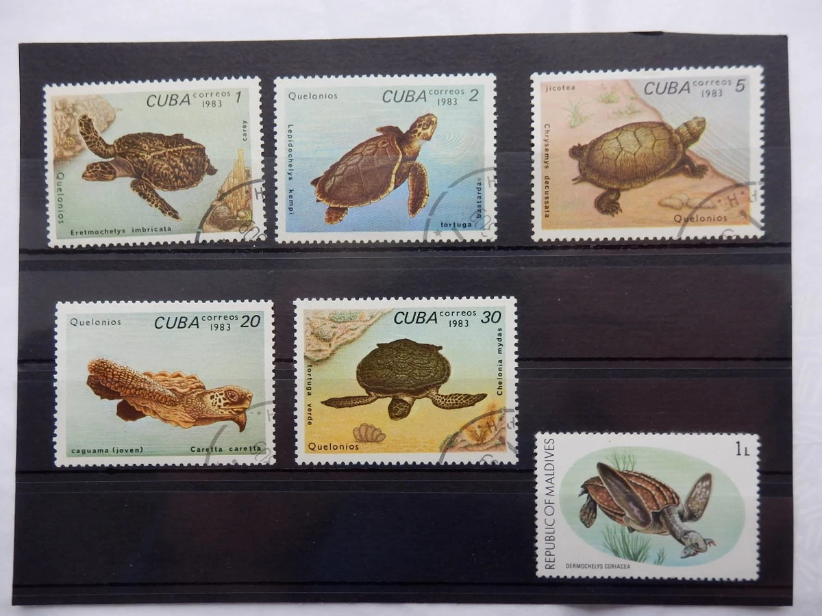 Prophila Malediven Briefmarken 2017 Schildkröten – Kleinbogen 7233-7236 Postfrisch ** MNH | Für Sammler