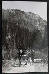 Undated Sweden Photo Postcard "Country Road"Unused - Picture 1 of 2