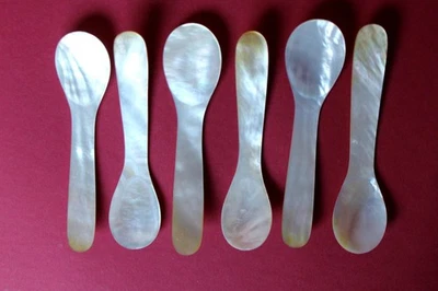 Perlmutt 6 Löffel Eierlöffel Kaviarlöffel 12,5 cm Naturprodukt aus Muscheln - Bild 1 von 2