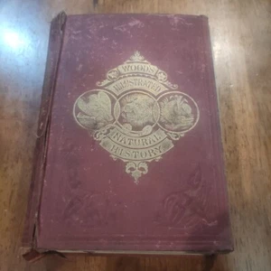 Wood's ILLUSTRATED NATURAL HISTORY 1868 J.G Wood F 12 Printing Revised Antique  - Foto 1 di 24