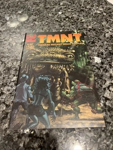 TMNT #17 RARE ISSUE LOW PRINT RUN SEE MY OTHERS - Picture 1 of 10