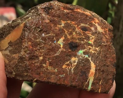 280CT QLD BOULDER OPAL ROUGH SPECIMEN 100% NATURAL UNTREATED RARE. EQO8860 - Image 1 of 4