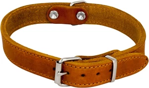 JACK and VANILLA, Collare per Cane, Modello Pelle Grassa, Colore Cognac, Misura - Foto 1 di 12