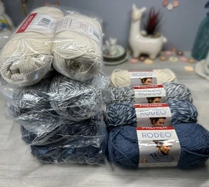 Lot of 12 Skeins Premier Rodeo Yarn  Three Of Each Color - Picture 1 of 9