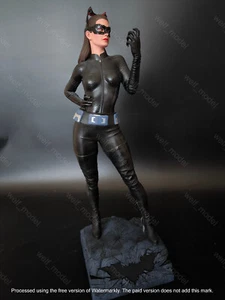 Painted Catwoman Anne Hathaway 1/4 Statue Superhero Figure - Picture 1 of 6