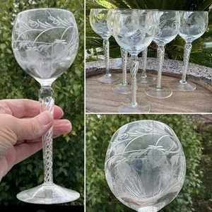 6 SELTENE VINTAGE HOPFEN GERSTE Air Twist HANDGRAVIERT BÖHMISCHES HOCK WEINGLAS 7,5" - Bild 1 von 18