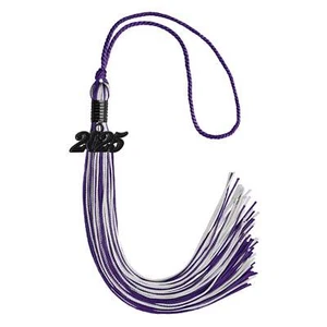 Endea Graduation Purple/Silver Mixed Color Tassel with Black Date - Picture 1 of 17