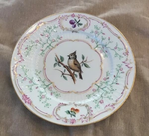 Alter KPM-Berlin Teller seltene Vogel Malerei Goldrand 19,5 cm 2.Wahl - Bild 1 von 4