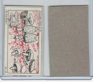 T0-0 Typhoo Tea, Do You Know, 1962, #10 Mushrooms - Picture 1 of 1