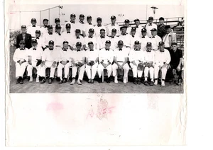 VINTAGE ORIGINAL 1967 KIDS AND CUBS 8x10 TEAM PHOTO OLD TIMERS ST. PETERSBURG - Picture 1 of 2