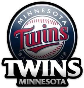 Minnesota Twins Logo Type with Baseball graphics MLB Baseball Die-Cut MAGNET - Picture 1 of 1