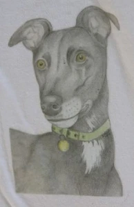 Greyhound T-Shirts & Sweatshirts Baby,Child and Adult sizes. From drawn designs - Foto 1 di 9