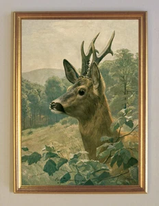 Rehbock I von Carl Zimmermann Jagdbild Porträt Jagd Wilderer A3 063 Gerahmt - Bild 1 von 1