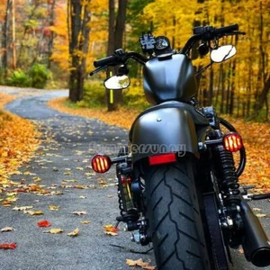 Espejos retrovisores transparentes de vidrio real para Harley Davidson hierro 883 carreteras - Imagen 1 de 11