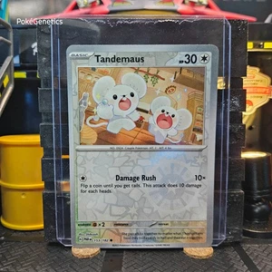 Tandemaus Paradox Rift Reverse Holo Pokémon TCG 153/182 Scarlet & Violet Common - Picture 1 of 6