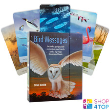 BIRD MESSAGES CARDS DECK AND BOOK CICO BOOKS ESOTERIC SUSIE GREEN FORTUNE NEW