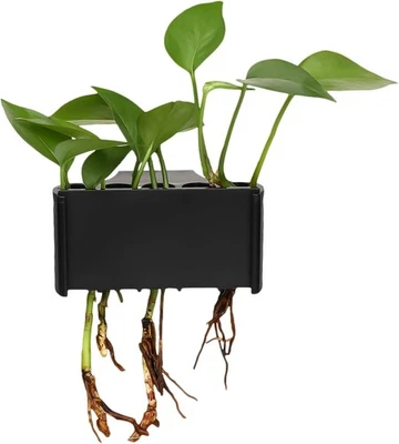 Soporte para plantas de acuario 5 agujeros soporte para pecera, ABS negro  Foto 1 de 4