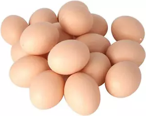20 PCS Plastic Fake Eggs for DIY Easter Eggs, Painting and Realistic Egg - Picture 1 of 7