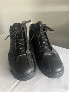 Nike Air Jordan Dub Zero Oreo Hombre Talla 11.5 Negro Blanco Gris 311046-002 - Imagen 1 de 24