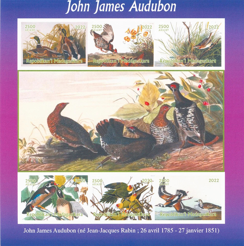 Madagascar 2022 MNH Birds on Stamps John James Audubon Art Ducks 6v IMPF M/S II - Image 1 of 1