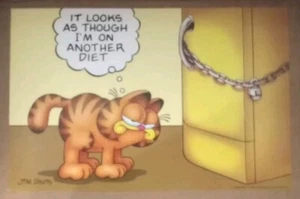 Vintage 1978 Garfield Original Jim Davis Argus 14x9 Poster It Looks As Though 😋🔒🥦 - Bild 1 von 20