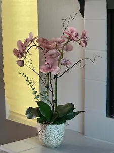 Phalenopsis BUTTERFLY ORCHID 2 real touch Dusty Pink, ARRANGEMENT - Picture 1 of 5